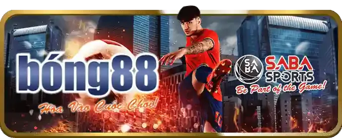 Hướng dẫn cá cược thể thao hdbet win cho người mới bắt đầu